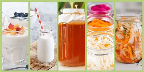 what are quality fermented foods